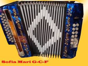 Sofia Marie 3-row w/ Sm-57 internal mic. key of G-C-F. Chinese made$225 includes case
